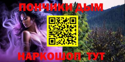 шишки Жуковский