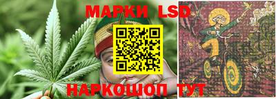 спиды Заводоуковск