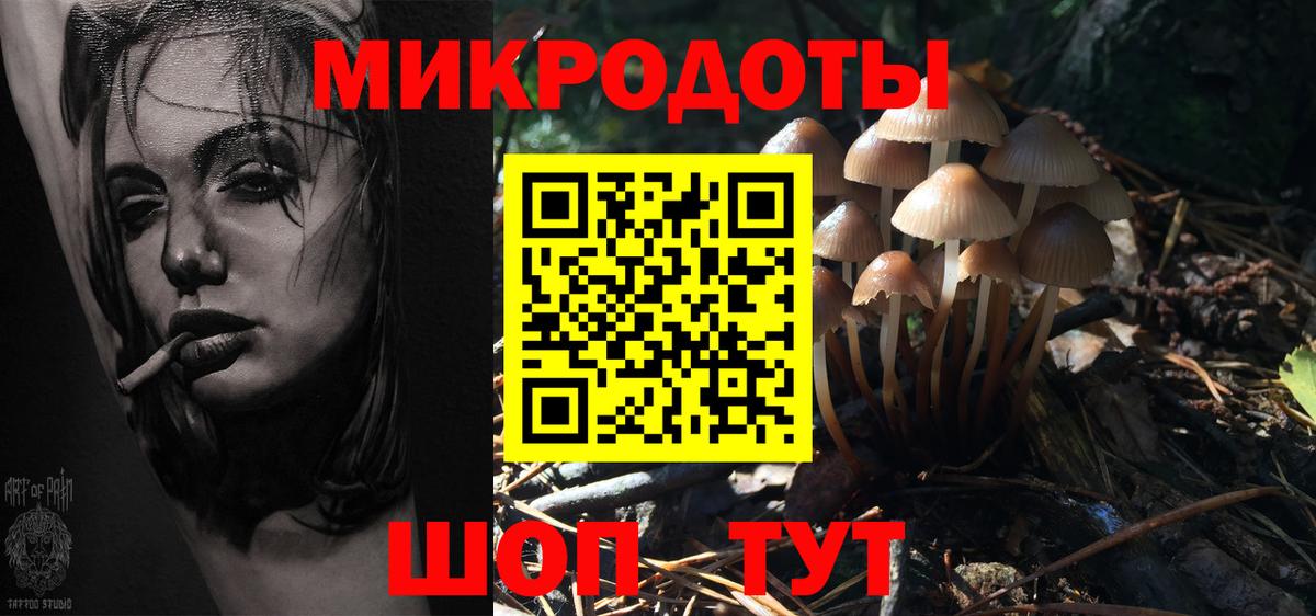 Бугуруслан  Галлюциногенные грибы Psilocybine cubensis  Вход с VPN 