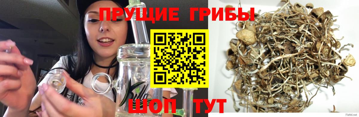 Псилоцибиновые грибы мухоморы Бугуруслан
